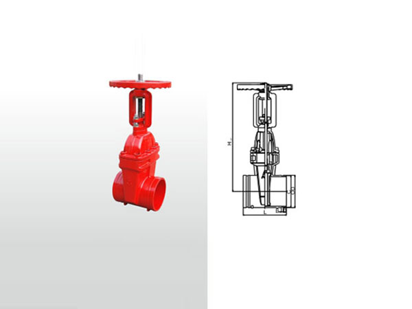 埃美柯法蘭閘閥一旦出現漏氣，授之以漁！