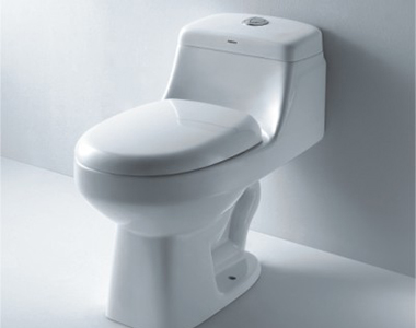 TL1010  連體座便器